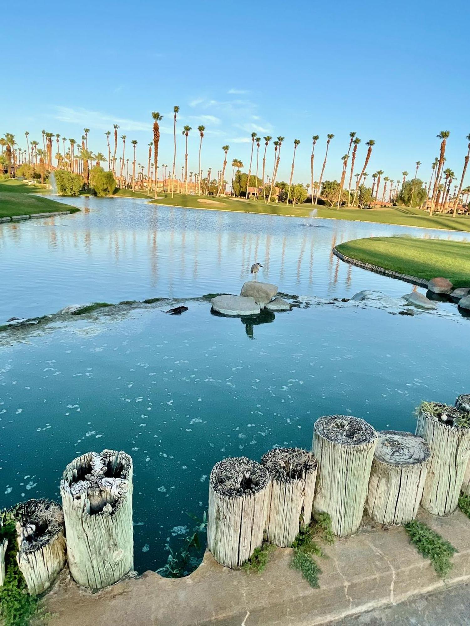 The View! Palm Desert Country Club Villa Exterior foto